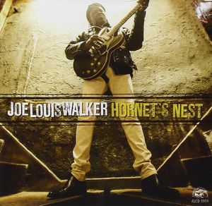 Image result for joe louis walker albums  hornets nest