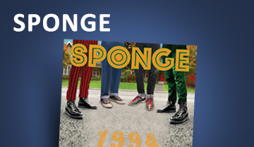 Sponge