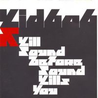 Kid 606 - Kill Sound Before Sound Kills You