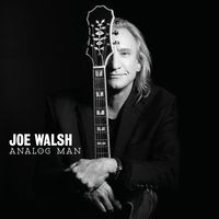 Joe Walsh - Analog Man