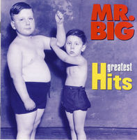 Mr. Big - Greatest Hits