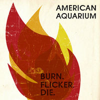 American Aquarium - Burn Flicker Die [Digipak]