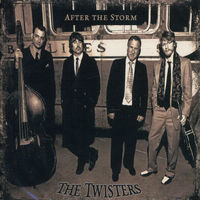 Twisters - After the Storm