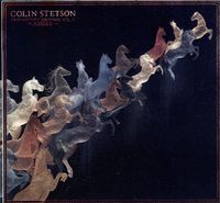 Colin Stetson - New History Warfare, Vol. 2: Judges