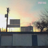 Spider Bags - Someday Everything Will Be Fine [Indie Exclusive Limited Edition Peak Vinyl LP]