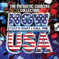 Various Artists - Now USA: That's What I Call The USA