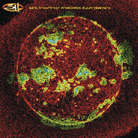 311 - From Chaos [Vinyl]