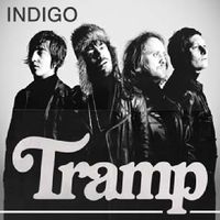 Tramp - Indigo