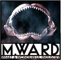 M. Ward - What A Wonderful Industry [Limited Edition Clear LP]
