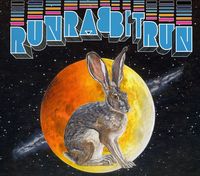 Sufjan Stevens - Run Rabbit Run