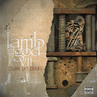 Lamb Of God - VII: Sturm Und Drang [Vinyl]
