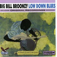Big Bill Broonzy - Low Down Blues