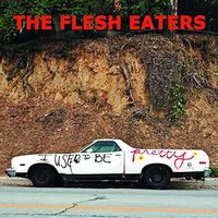 The Flesh Eaters - I Used To Be Pretty [2LP]