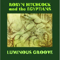 Robyn Hitchcock - Luminous Groove [Box Set] [5 Discs]
