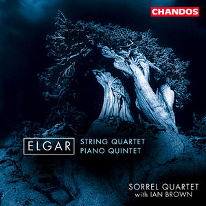 String Quartet /  Quintet for Piano & Strings