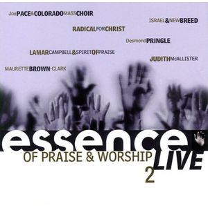 Essence Of Praise and Worship, Vol. 2