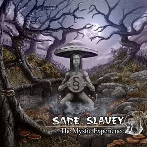 Mystic Experience [Import]