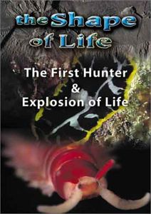 Shape of Life 2: First Hunter & Explosion
