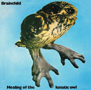 Healing of the Lunatic Owl