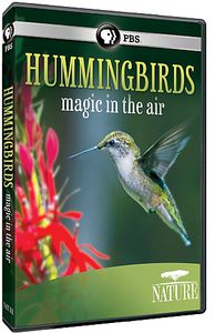 Nature: Hummingbirds