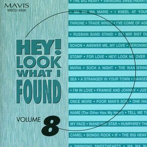 Hey!Look What I Found, Vol. 8
