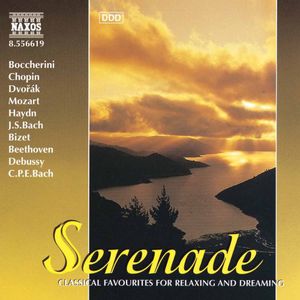 Night Music 19: Serenade /  Various