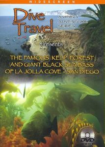 The Famous Kelp Forest and Giant Black Sea Bass of La Jolla Cove - San