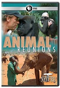 Nature: Animal Reunions