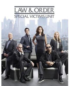 Law & Order - Special Victims Unit: Year Fourteen