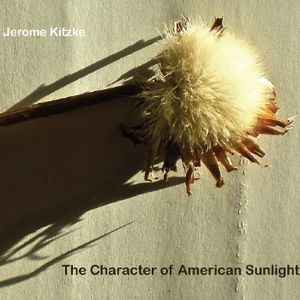 Character of American Sunlight