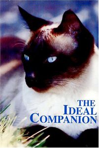 Ideal Companion