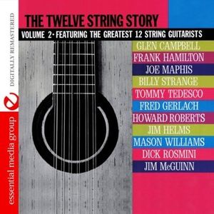 Twelve String Story: 2 /  Various