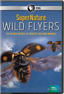 Supernature: Wild Flyers