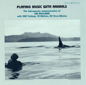 Playing Music with Animals: Interspecies