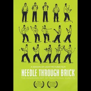 Needle Through Brick