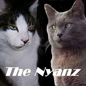 The Nyanz