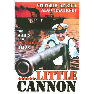 Little Cannon