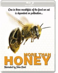 More Than Honey [Import]