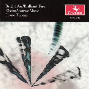 Bright Air /  Brilliant Fire: Electro Acoustic