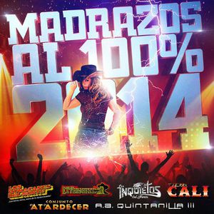 Madrazos Al 100% 2014 /  Various