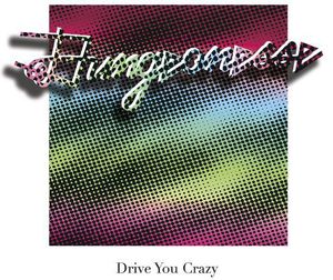 Drive You Crazy/ Private Party