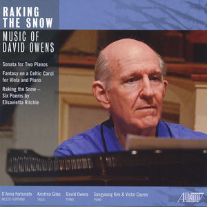 Raking the Snow: Music of David Owens