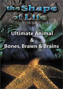 Shape of Life 4: Ultimate Animal & Bones
