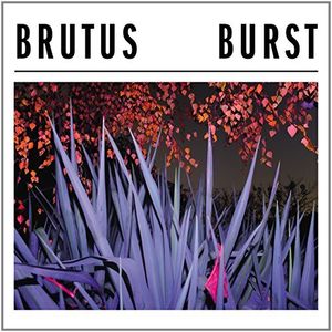 Burst [Import]