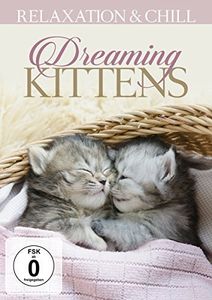Dreaming Kittens