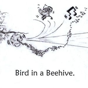 Bird in a Beehive