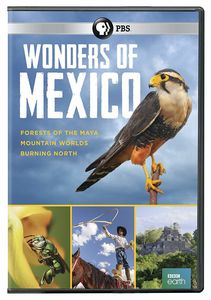 Wonders Of Mexico