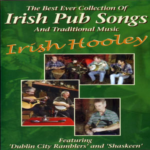 Irish Hooley: The Best Ever Collection of Irish Pub Songs and Traditional Music [Import]