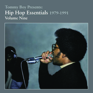Essential Hip Hop, Vol. 9