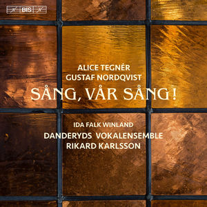 Tegner & Nordqvist: Song Our Song